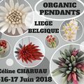 workshop les 16 et 17 juin à Liège (Belgique)