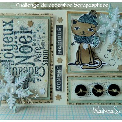 Challenge de decembre pour la boutique Scraposphere