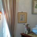 ブロンズの一輪の薔薇の壁掛けランプとブルーモヘアのワンちゃんのお写真