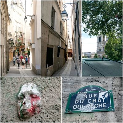 Un petit tour dans l'île de la Cité ça vous dit?!!