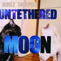 BUILT TO SPILL – Untethered moon (2015)