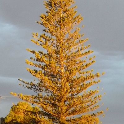 Couleurs du soir, Bonsoir!