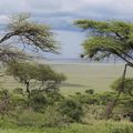 Paysages de Tanzanie