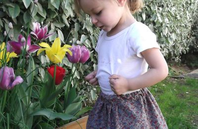 La Mini Tulipe...
