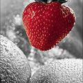 “Mes vices ne sont que les fruits d'une solitude forcée.” Mary Shelley qui avait de belles fraises