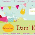 Création Blog boutique "Dam' K-rO"