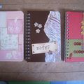 des carnets encore des carnets...