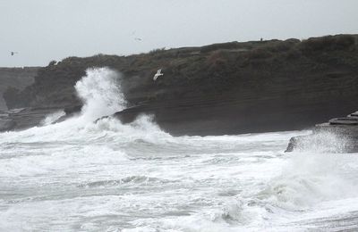 ALERTE METEO 