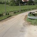 Dégâts observés suite à l'orage (Crezancy en sancerre,Cher)