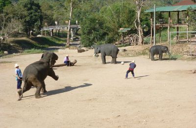 Au nord de CHIANG MAI