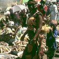 Cameroun - Années 80 (15/34). Yaoundé - Démarches officielles.