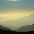 La migration sur le Col d'Organbidexa 