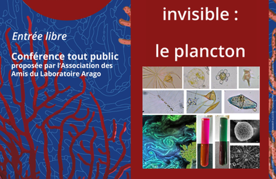 François Lantoine: un géant invisible, le plancton; Mercredi 16 juillet, 18h