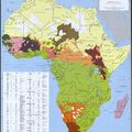 Carte ethnico-linguistique d’Afrique