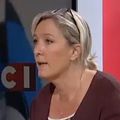 Marine Le Pen réagit à l'actualité sur LCI-1er juilet 2013 (vidéo) 