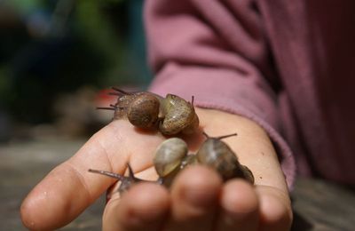 Petit escargot....