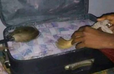 VALISE MAGIQUE DU GRAND MAITRE AHIGNON