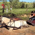 TREC attelé à AOUGNY