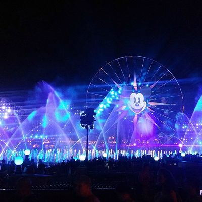 Wild West Fun - Partie 11 : Disneyland Resort (J2)