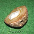 AGATE ¤120 - BRESIL - M31 