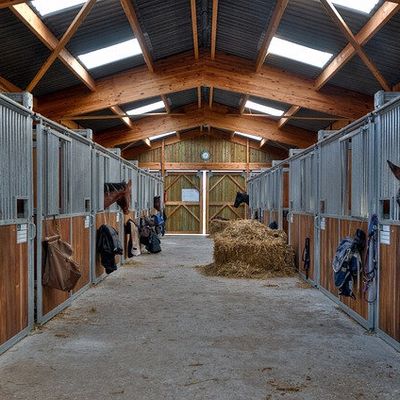 COVID 19 : Les propriétaires de chevaux autorisés à se déplacer dans les centres équestres