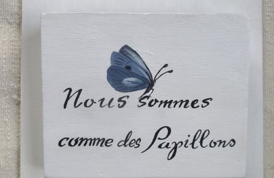 ♠ Rangement mural & papillons