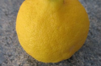 Lemon