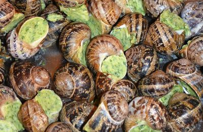 La gamme des escargots cuisinés