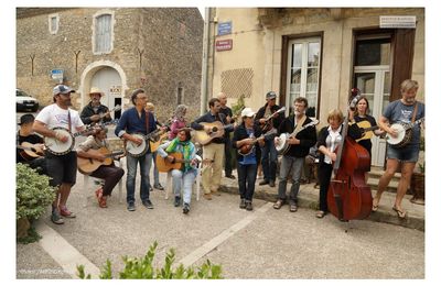 Bluegrass à Cornus