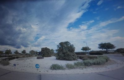 Rond-point à Castelnau-le-Lez