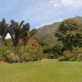 Jardin Botanique de Kirstenbosch 