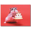 hamster d'anniversaire