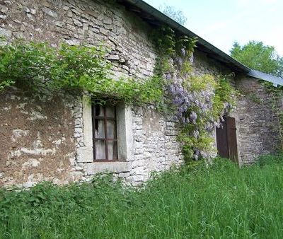 Avant-après pergola...