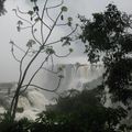 Chutes d'Iguazu #08 (et fin!)