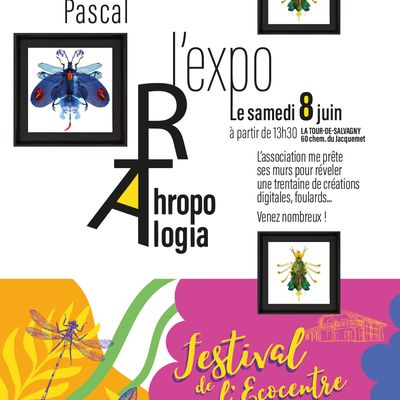 Exposition Pascal DESBLED - Festival de l'Ecocentre à la Tour-de-Salvagny, le samedi 8 juin après-midi.