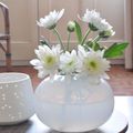 De jolies petites fleurs blanches offertes par