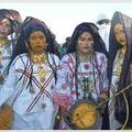 L'Imzad, au cœur de la musique touarègue