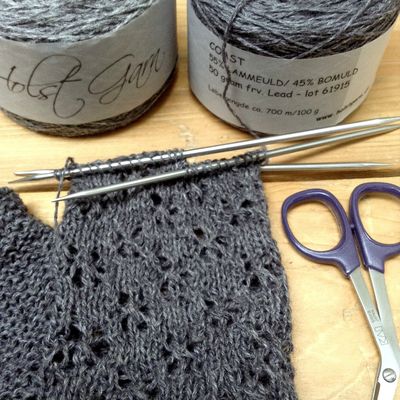 Les mitaines et les lentilles