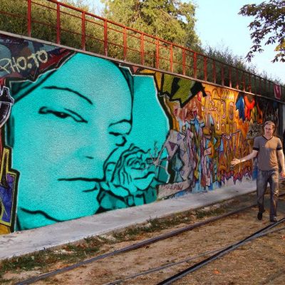 Montage photo murale 