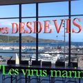 vidéo de la conférence Yves DESDEVISES du 6 décembre 2023: les virus marins