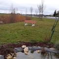 Ah les beaux bancs ! 