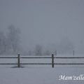 Février sous la neige