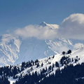 Réchauffement climatique