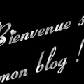 quelle chance de pouvoir vous présenter une