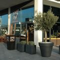 Nouvelle adresse DOD à Boulogne-Billancourt