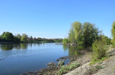 Sur les rives du Cher à Tours le 9 avril 2025