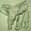 N° 6 - "L'éléphant"