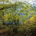 Visites au pied du ballon d'Alsace - 3/...