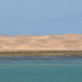 et puis, entre dunes et mer, la magnifique lagune