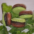 Macarons menthe chocolat avec deux ganaches